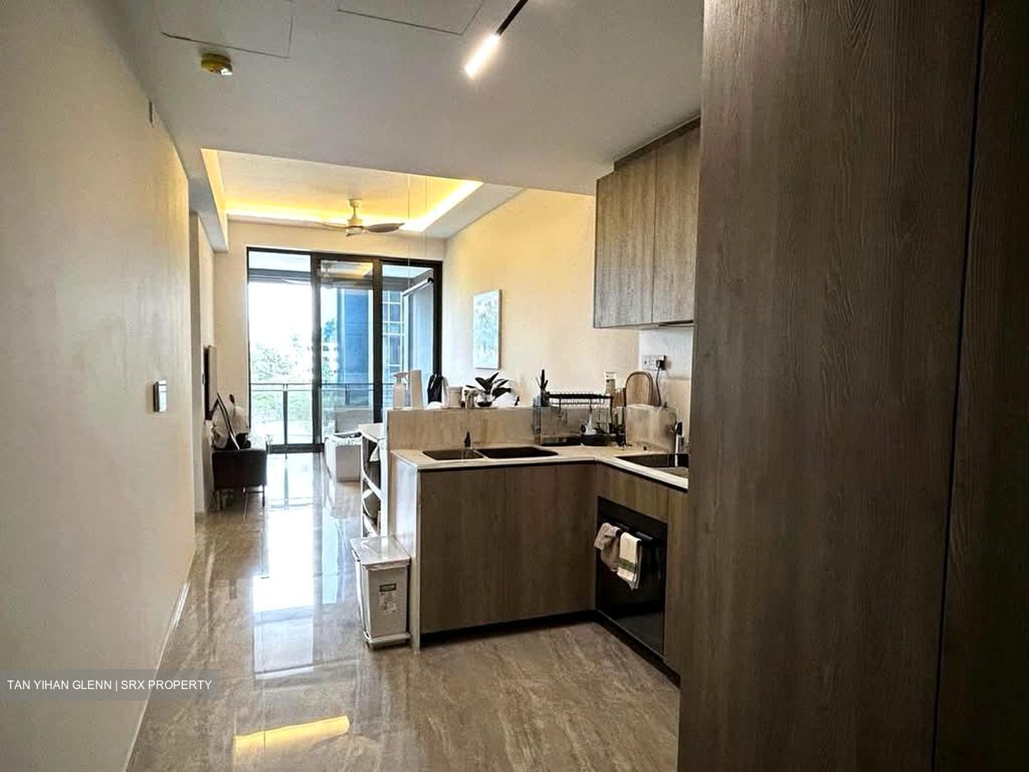 Leedon Green (D10), Condominium #560352431